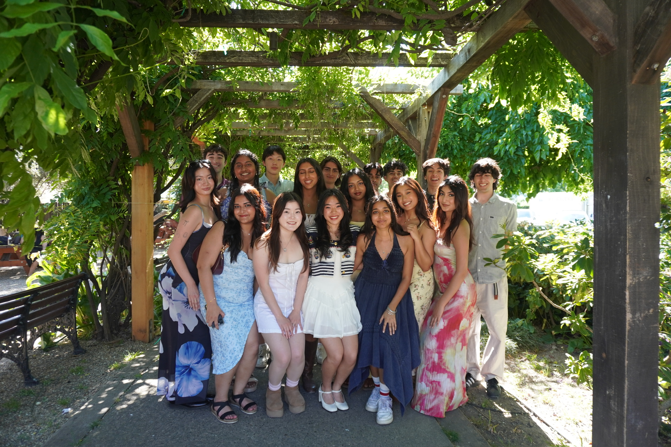 Napa Trip